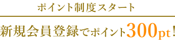 ポイント制度スタート